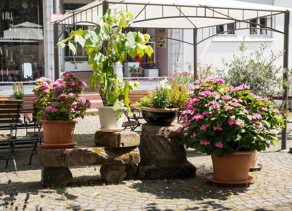Hotel Weber Amöneburg Extérieur photo